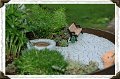 Miniature Garden 1